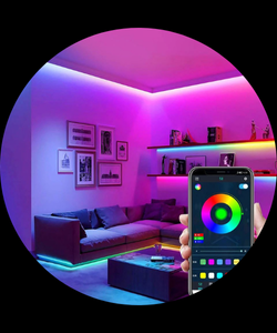 Neon Signs & Room Decor