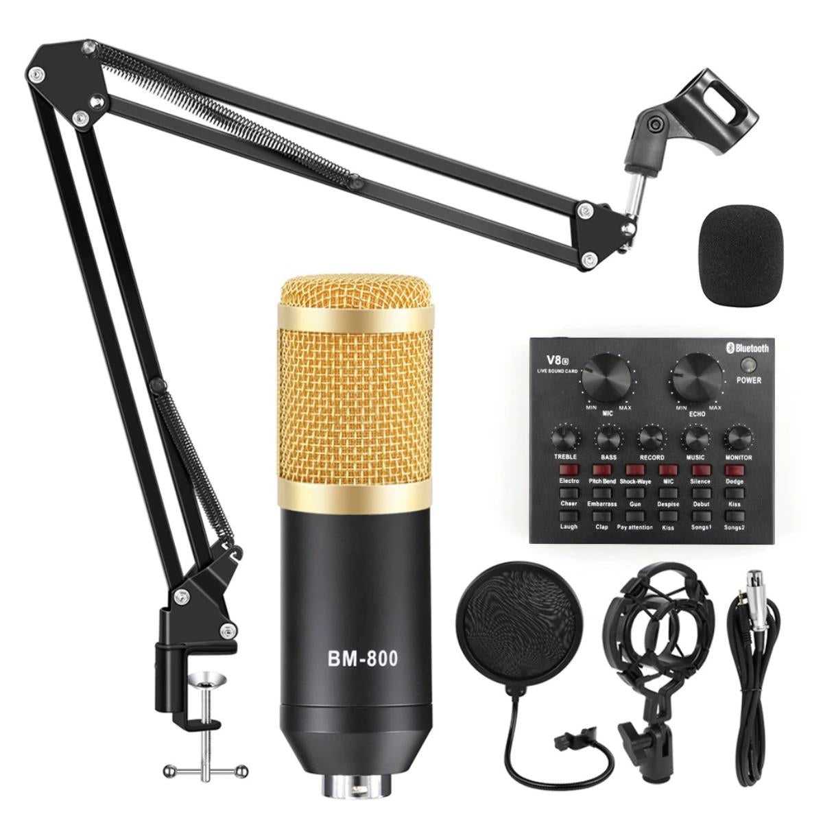 Gold Professional Condenser Microphone Bundle for Studio Recording and Broadcasting