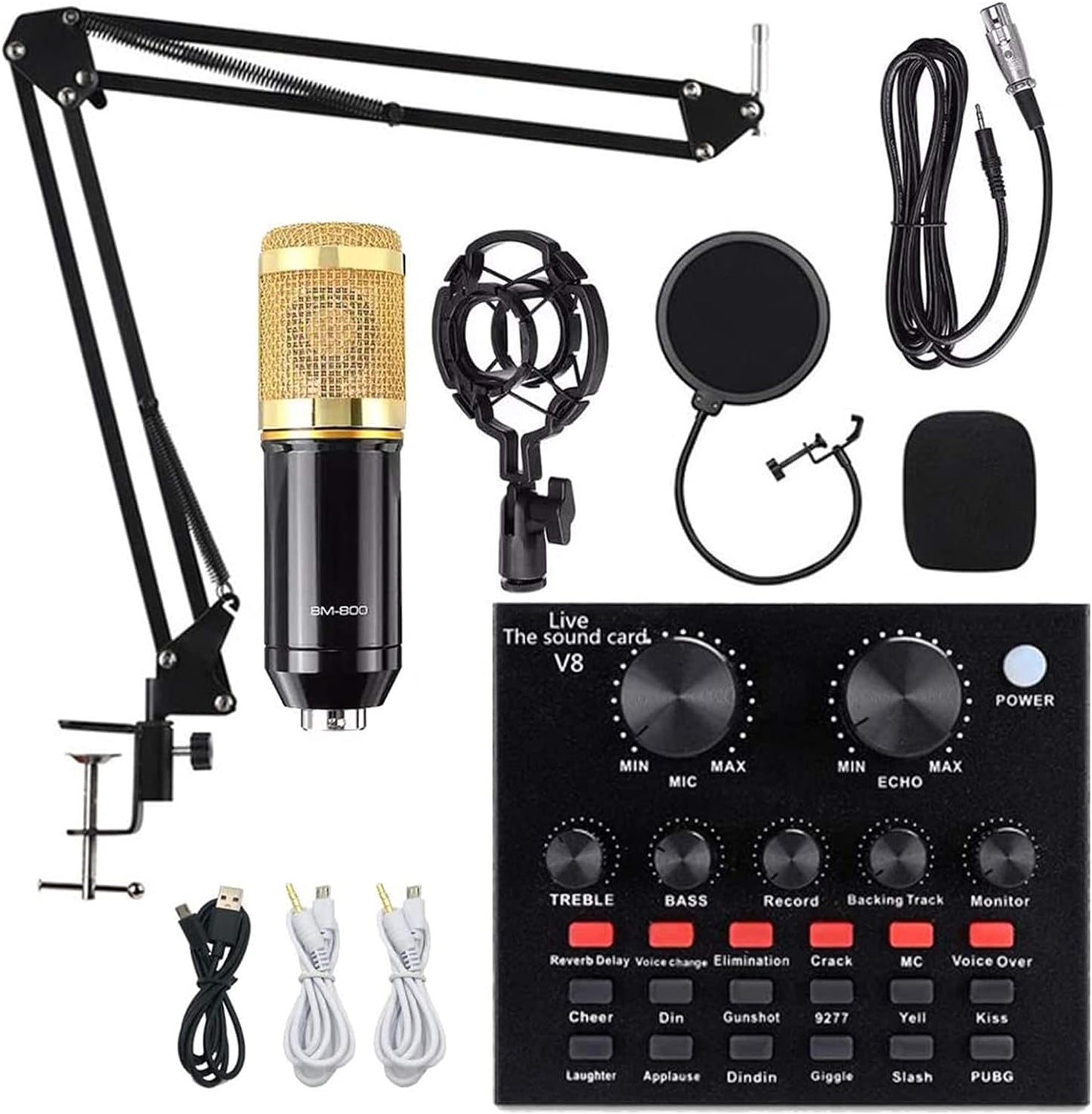 Gold Professional Condenser Microphone Bundle for Studio Recording and Broadcasting