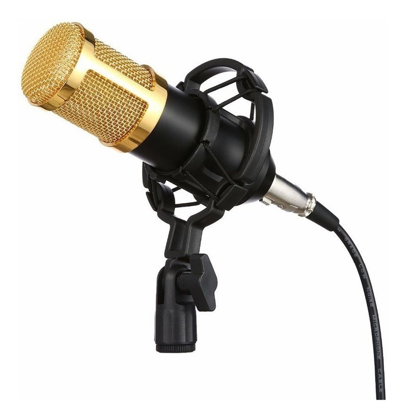 Gold Professional Condenser Microphone Bundle for Studio Recording and Broadcasting