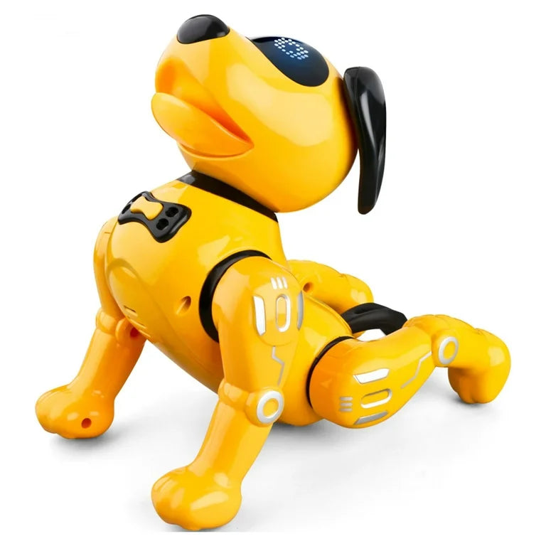 R19 Robot Dog