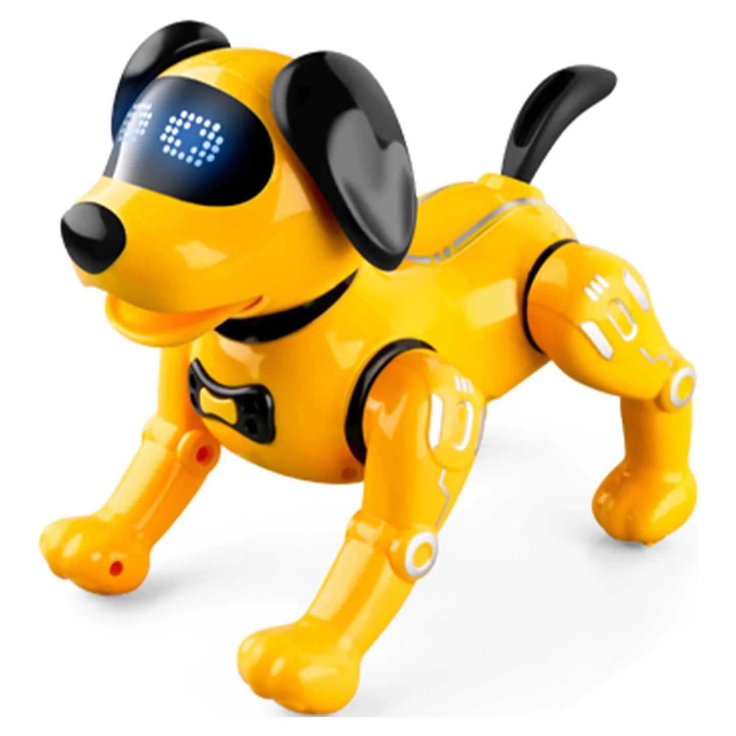 R19 Robot Dog