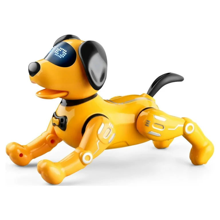 R19 Robot Dog